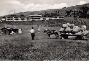 credits: Andreas Colli, BM Kastelruth