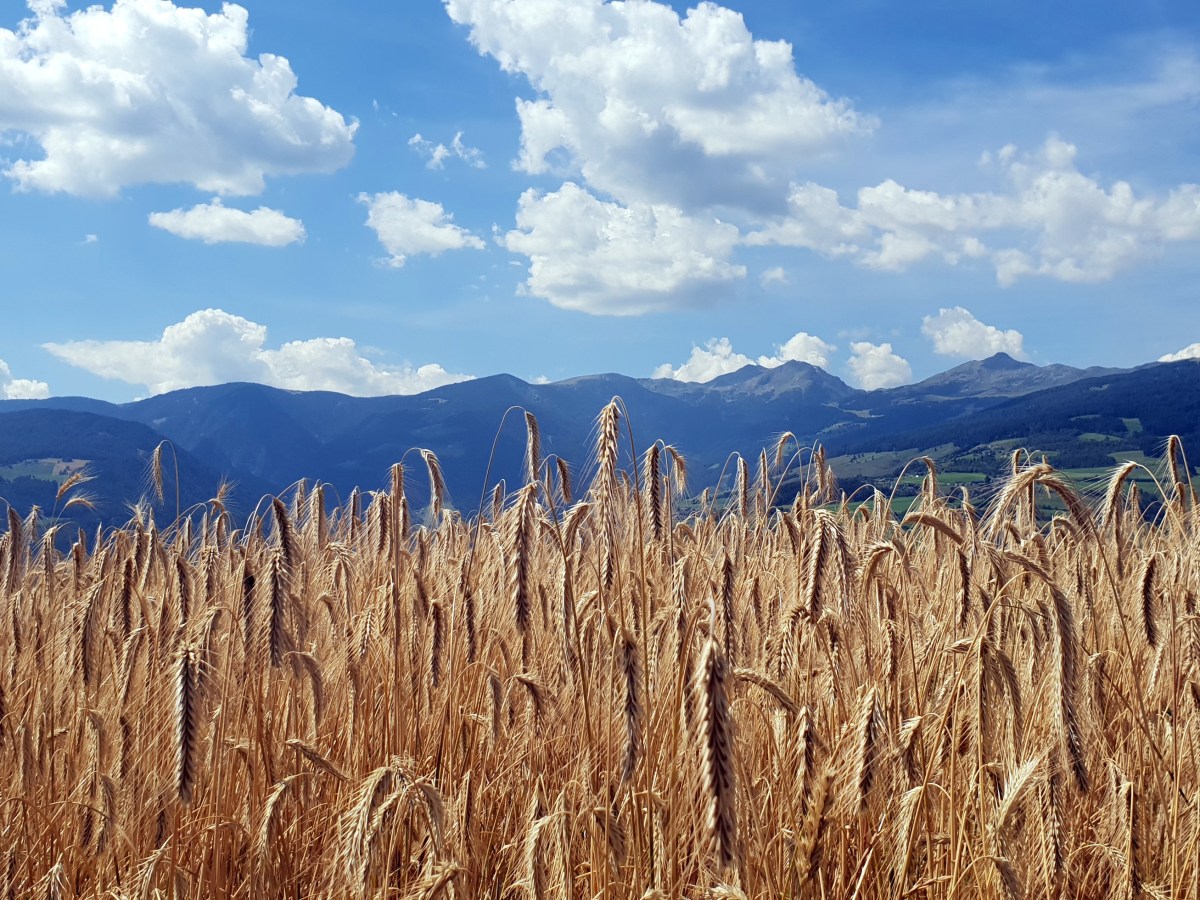 Noch ein bisschen&nbsp;Heimat